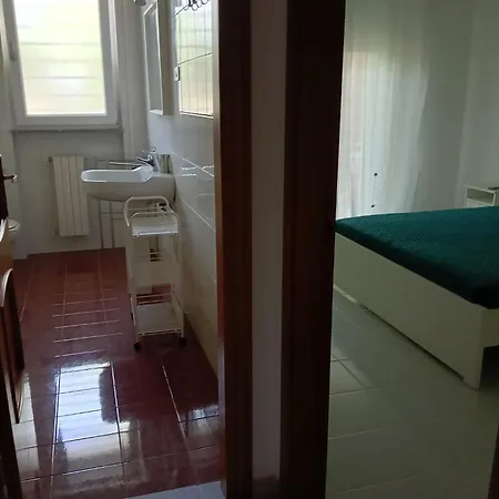 Проживание в семье Green54verde