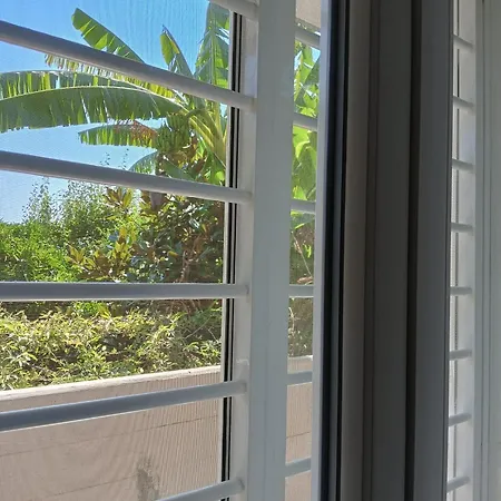 Проживание в семье Green54verde *