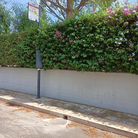 Проживание в семье Green54verde *