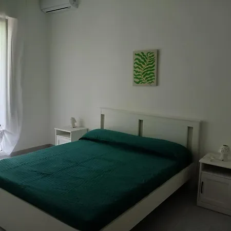 Green54verde