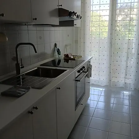 Green54verde Бари